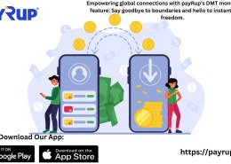 RapidRemit Instant Money Transfers Worldwide with payRup.