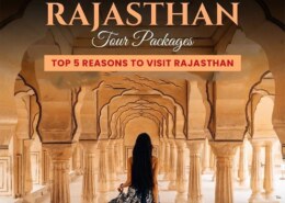 Rajasthan Tour Packages by Travel Corp India: Discover the Land of Kings